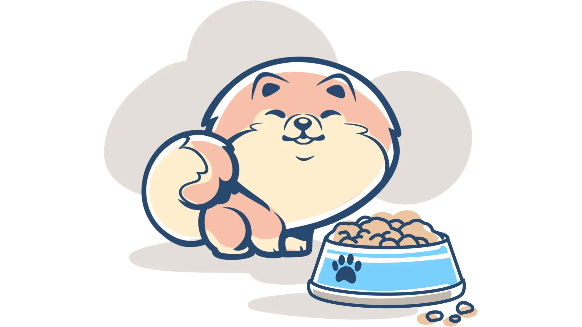 Ciotola di crocchette di alta qualità per Pomerania, con un piccolo Pomerania che si avvicina per mangiare - Guida all'alimentazione corretta.