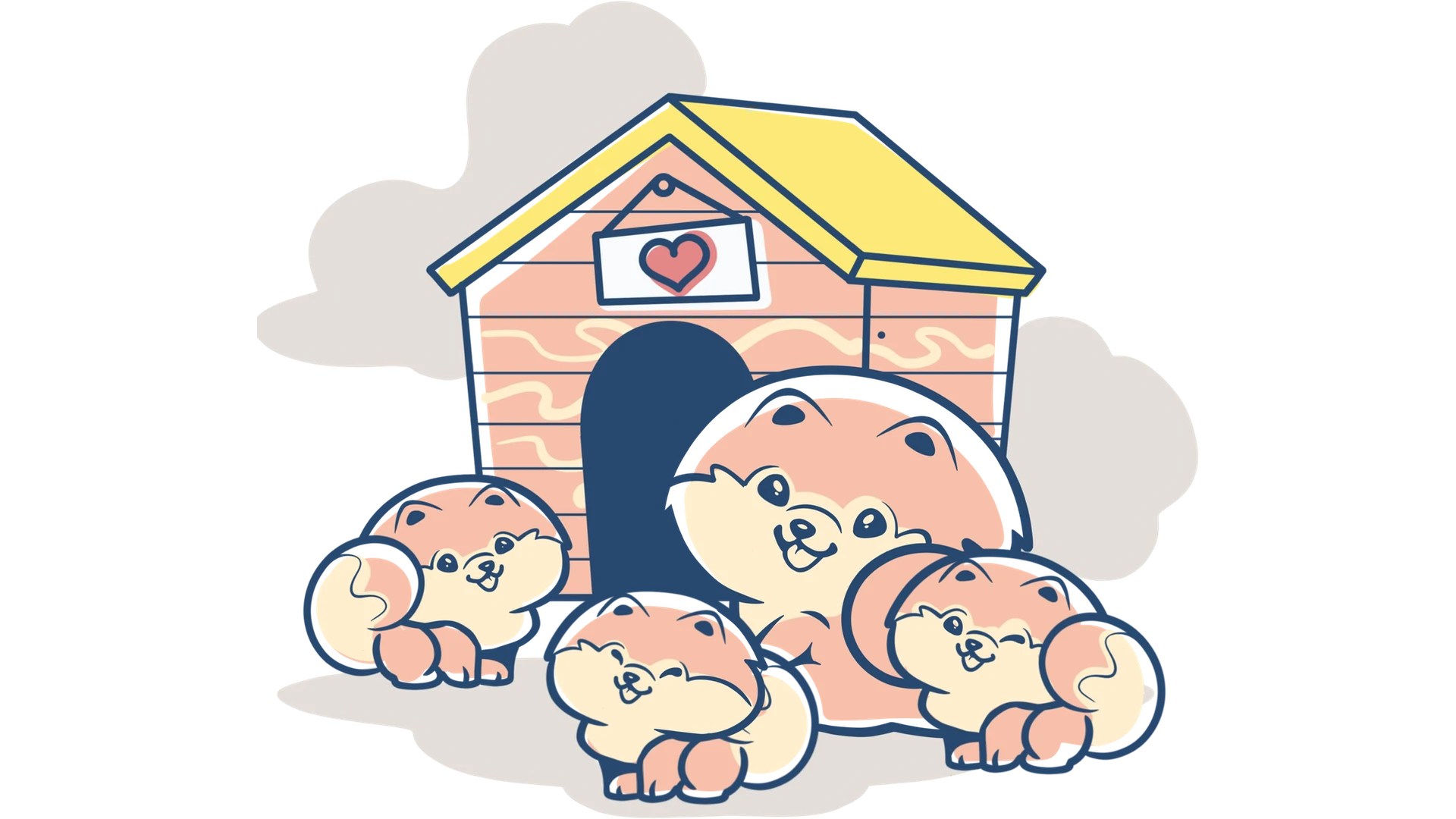 Allevamento Pomerania