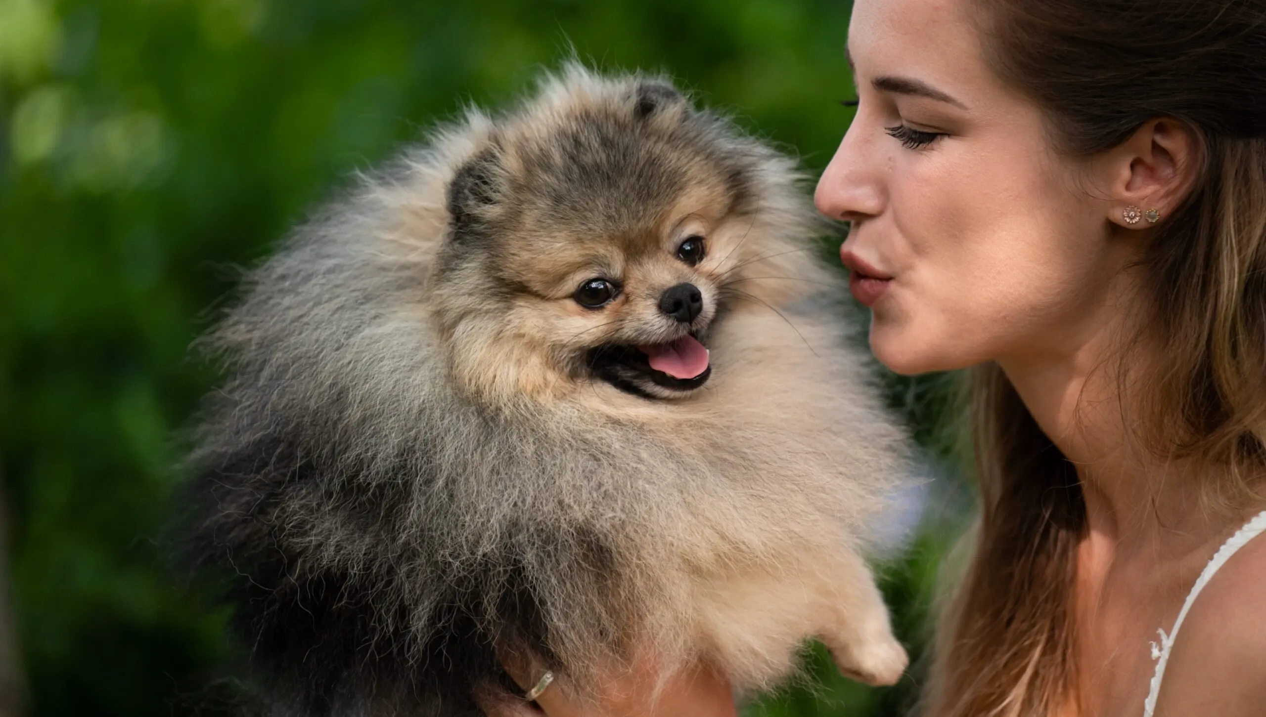 Allevamento di Pomerania a Roma - Allevatrice con cucciolo