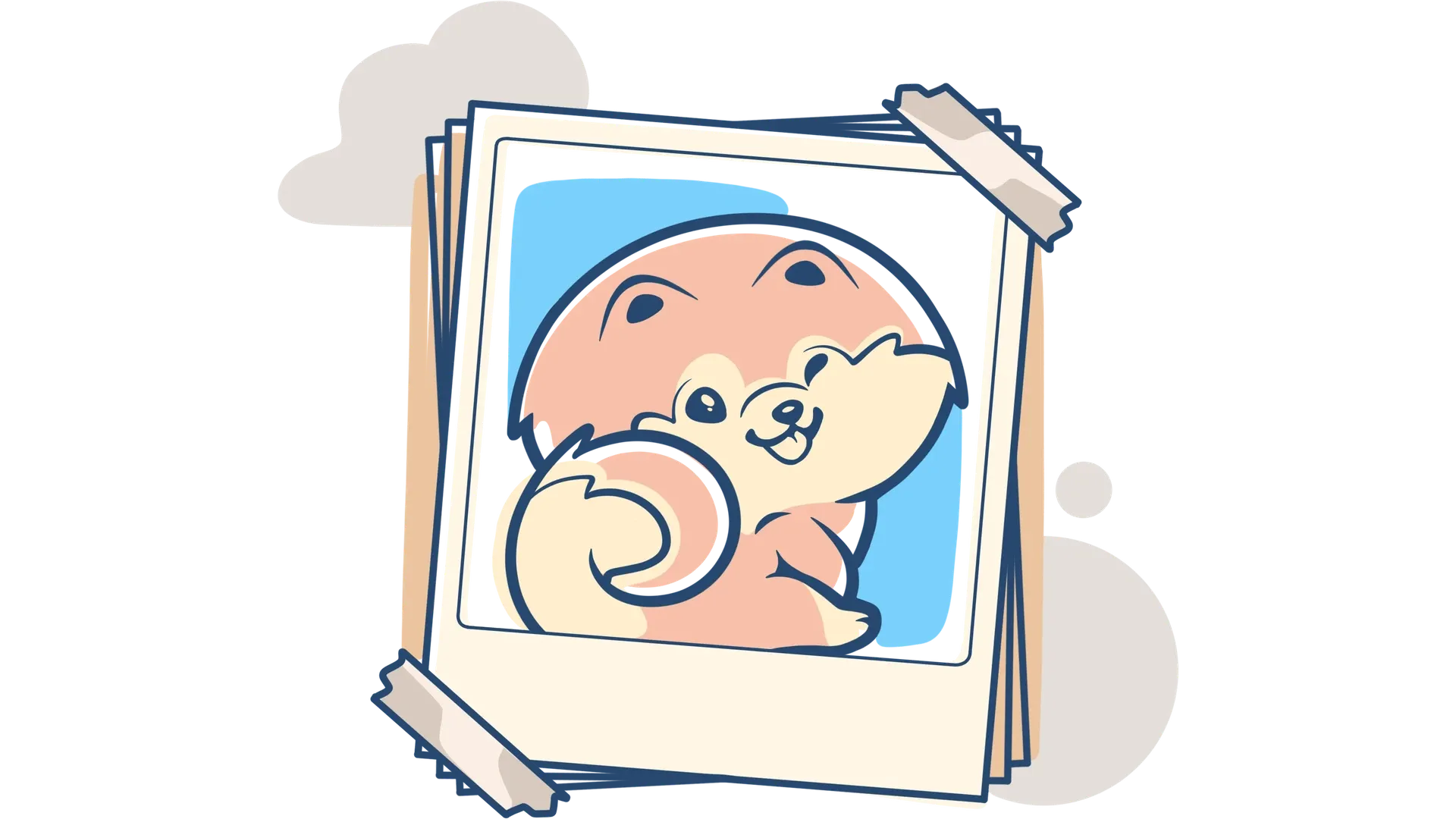 Allevamento Pomerania Roma - La Casa dei Pomerania