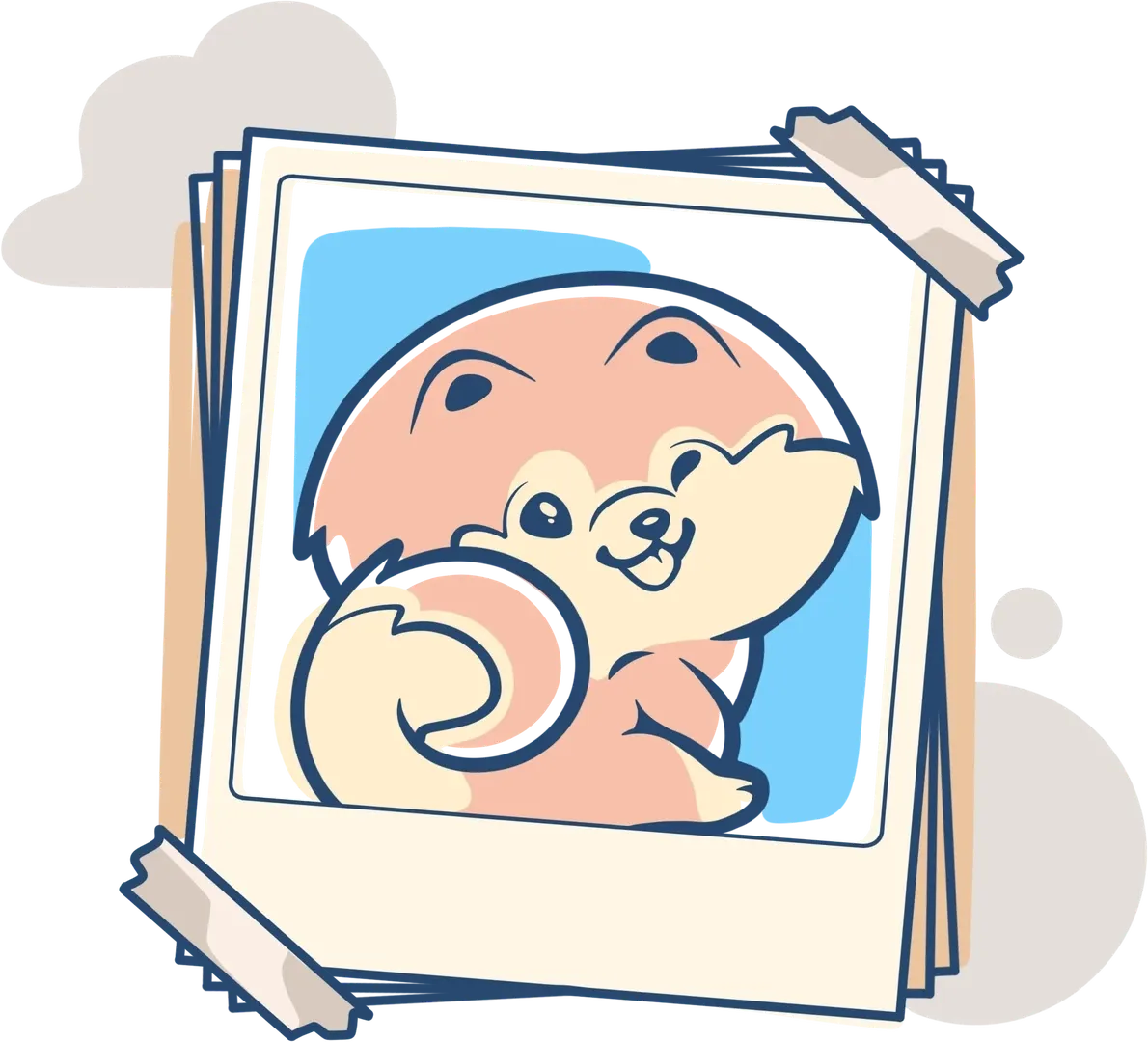 Allevamento Pomerania Roma - La Casa dei Pomerania