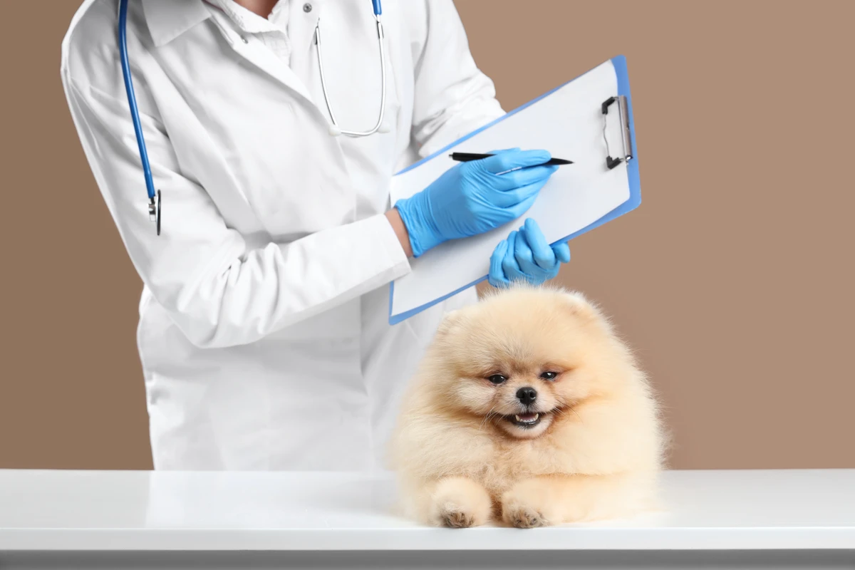 Visite veterinarie regolari